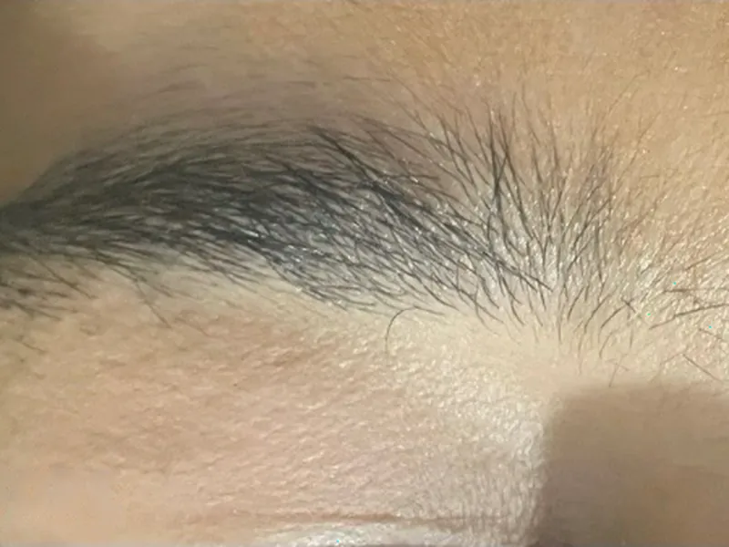 Brow lamination: fuller, lifted and set brows, before